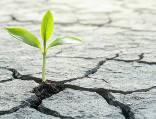 A Year Of Market Uncertainty and Resiliency